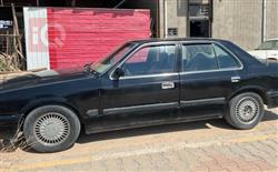 کیا پۆتێنشیا